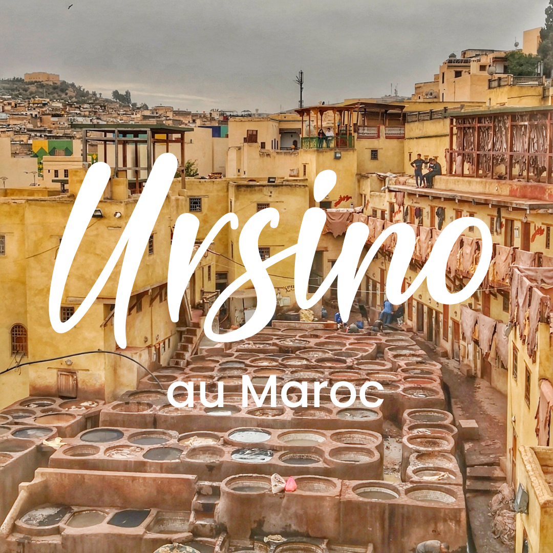 Projet Ursino au Maroc